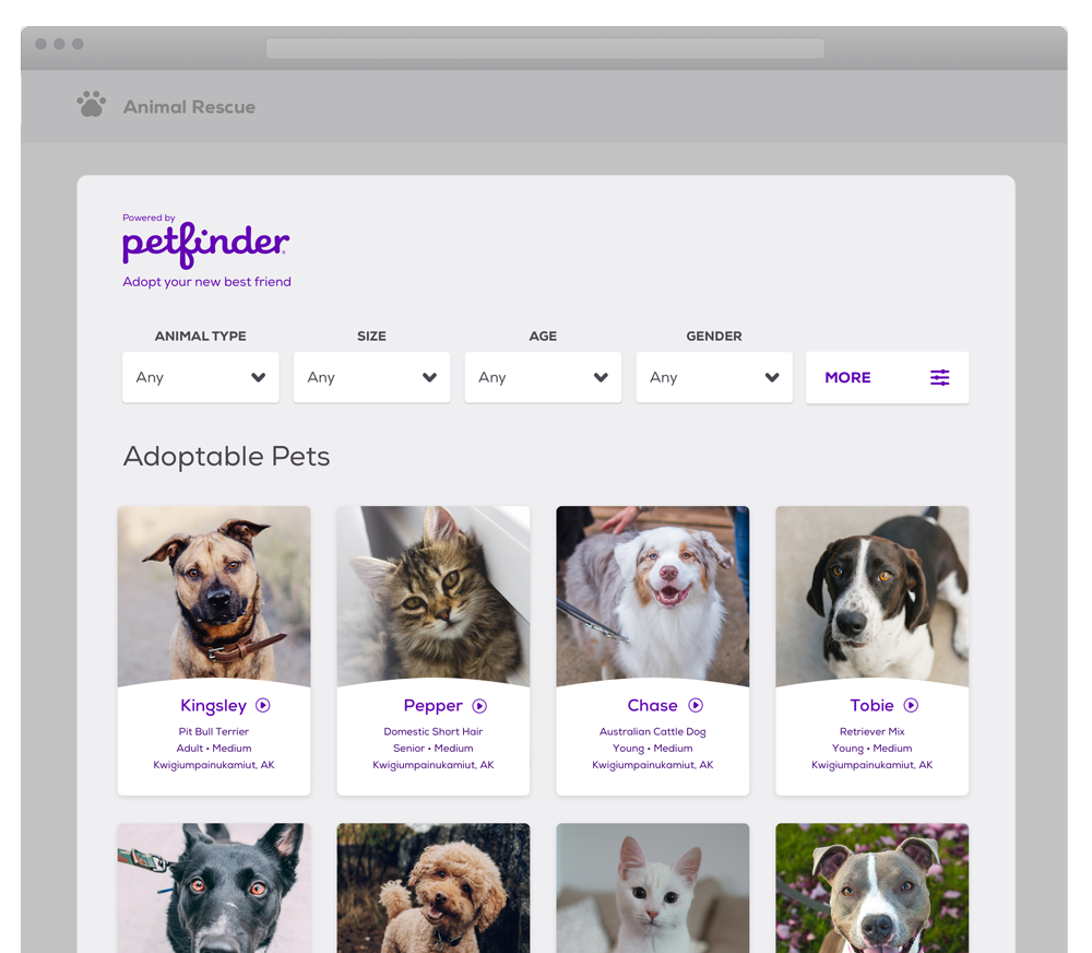 Pet sites for adoption